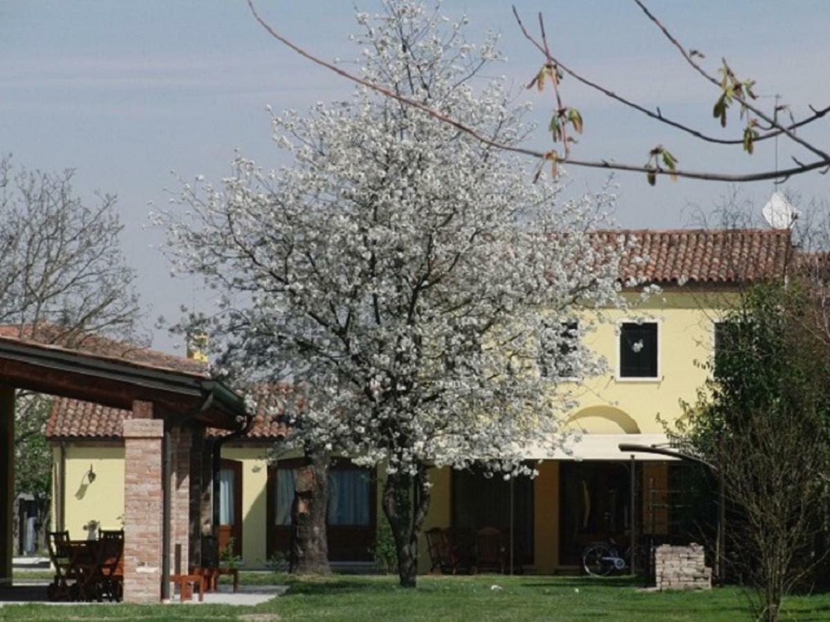 Particolari Del Brenta Lejlighed Oriago di Mira Eksteriør billede